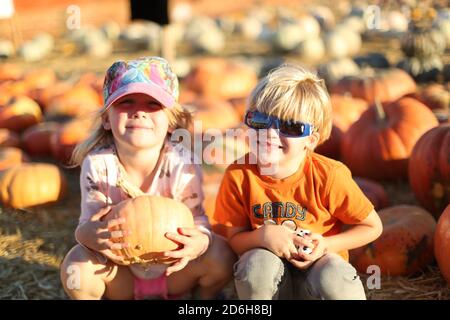 Herbst-Festival in Underwood Farms, Moorpark, Kalifornien, USA Stockfoto