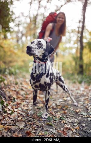 Ein Hund und eine junge Wanderin posieren für ein Foto Am Wanderweg Stockfoto