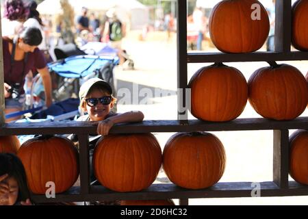 Herbst-Festival in Underwood Farms, Moorpark, Kalifornien, USA Stockfoto