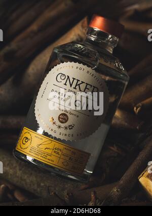 Conker Spirit Dorset Dry Gin Flasche Stockfoto