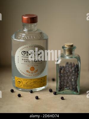 Conker Spirit Dorset Dry Gin Flasche Stockfoto