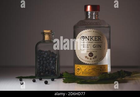 Conker Spirit Dorset Dry Gin Flasche Stockfoto