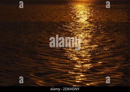 Wunderschöner Sonnenuntergang über dem Fluss. Eine Ente im Sonnenweg auf der Wasseroberfläche. Spiegelung der untergehenden Sonne. Stockfoto