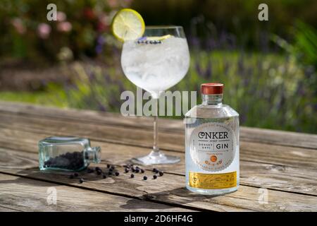 Großes Glas Gin und Tonic Drinks mit Eis und Zitrone mit Conker Dorset Dry Gin Flasche mit Lavendelbüschen im Sommersonnenlicht auf Holztisch Stockfoto