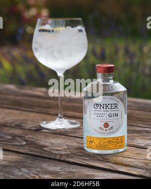 Großes Glas Gin und Tonic Drinks mit Eis und Zitrone mit Conker Dorset Dry Gin Flasche vor Lavendelbüschen im Sommer Stockfoto