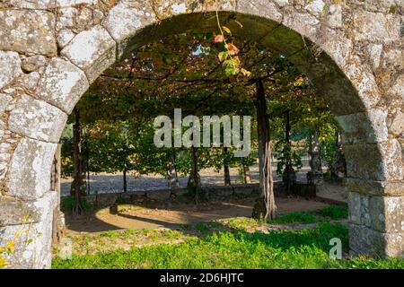 Vinho Verde Portugal Weinproduktion aus dem Kloster Tibães namens vinhas Auf portugiesisch Stockfoto