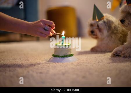 Zwillingsbrüder, die ängstlich warten, wie ein Mensch ihren Geburtstag erleuchtet Kuchen Stockfoto