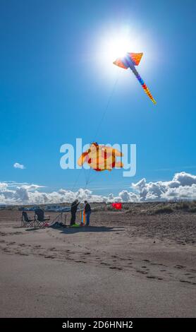 Tierdrachen fliegen an der Küste von Lincolnshire in Anderby. Stockfoto