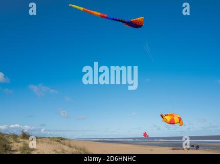 Tierdrachen fliegen an der Küste von Lincolnshire in Anderby. Stockfoto