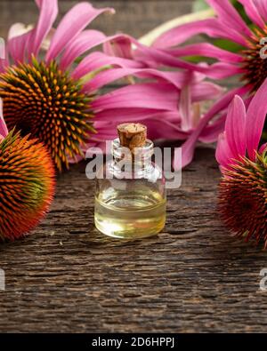 Flasche ätherisches Öl mit frischen Echinacea-Blüten Stockfoto