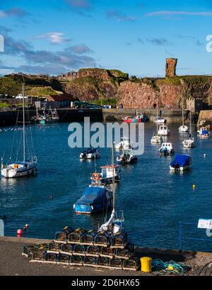 Ruined Dunbar Castle und Hafen mit Fischerbooten, East Lothian, Schottland, UK Stockfoto