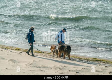 Ein Paar, das mit seinen Hunden am Strand des spazieren ging ostsee Insel Rügen Stockfoto