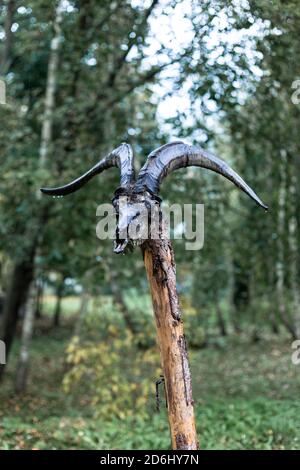 Ziegenschädel auf einem Holzspieß Stockfoto