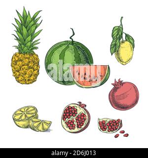 Tropische bunte Früchte Skizze Vektor Illustration. Ananas, Zitrone, Wassermelone, Granatapfel handgezeichnet isolierte Designelemente. Stock Vektor