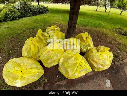 Bukarest, Rumänien - 22. Juni 2020: Müllsäcke neben einem Baum in einem Park in der Innenstadt von Bukarest gelegt. Stockfoto