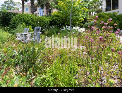 Ein Garten in South Carolina im Mai. Bienenbalsam und Flaschenbürste mit einem Hintergrund von weißen Trompetenlilien unter einem Gingko-Baum mit einer Schaukel Gartenbank. Stockfoto