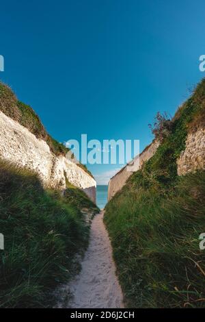 Broadstairs, Kent / UK - 2020.08.01: Leerer Kingsgate Beach, Spaziergang durch die Kreidestapel in Botany Bay in Kent, England. Stockfoto