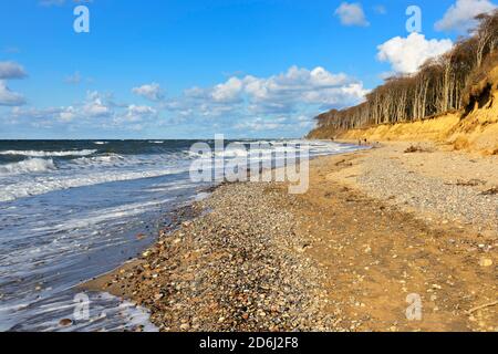 Stürmischer und sonniger Wintertag an der Ostsee, Geisterwald am Strand, Nienhagen, Mecklenburg-Vorpommern, Deutschland Stockfoto