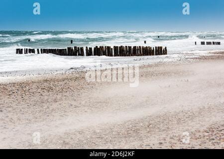 Wintersturm an der Ostsee, Groynes in der Brandung, Sandblasen am Strand, bei Graal-Müritz, Mecklenburg-Vorpommern, Deutschland Stockfoto