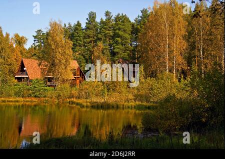 Ein gemütlicher Ort zum Entspannen am See im Herbstwald. Stockfoto