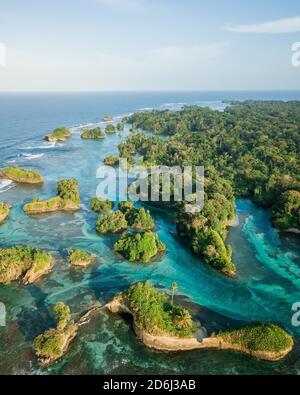 Luftaufnahme, tropische Mangroveninseln in der Karibik, Escudo de Veraguas, Panama Stockfoto