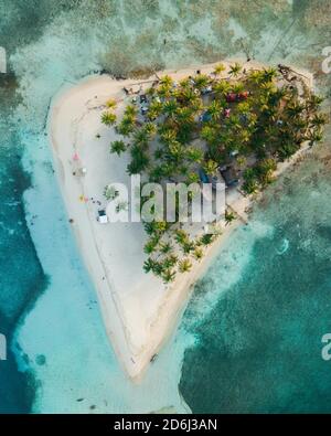 Luftaufnahme, tropische Insel mit Palmen, San Blas Inseln Stockfoto