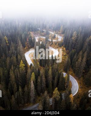 Luftaufnahme, kurvenreiche Straße im Herbst mit Nebel, Passo di Giau, Italien Stockfoto