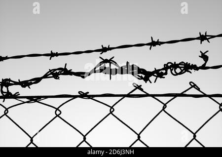 Stacheldrahtzaun vor dem Himmel, symbolisches Bild der Gefangenschaft, Stuttgart, Baden-Württemberg, Deutschland Stockfoto