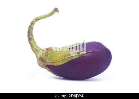 Aubergine auf isoliertem weißem Hintergrund Stockfoto