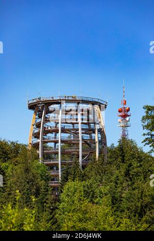 Aussichtsturm am Baumkeulerweg Salzkammergut am Grünberg, Gmunden, Salzkammergut, Oberösterreich, Österreich Stockfoto