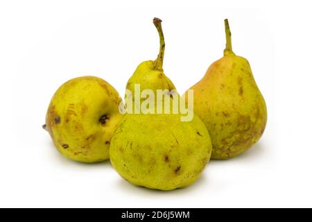 Frische Birnen auf isoliertem weißem Hintergrund Stockfoto