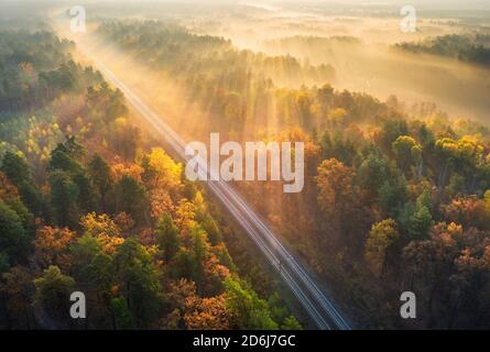Luftaufnahme der schönen Eisenbahn im Herbstwald bei Sonnenaufgang Stockfoto