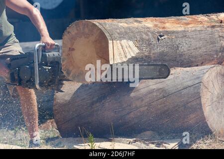 Ein Mann verwendet eine Kettensäge, um eine Runde von einem Baumstamm abzuschneiden, während Sägemehl bei einem der letzten verbliebenen Holzschnitzelfeste in Oregon flyt. Stockfoto