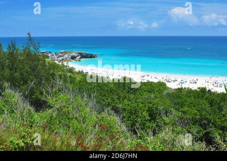 Horseshoe Beach, einer der berühmtesten Strände auf Bermuda Island Stockfoto