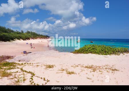 Horseshoe Beach, einer der berühmtesten Strände auf Bermuda Island Stockfoto