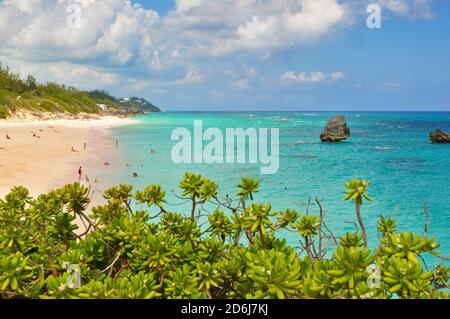 Horseshoe Beach, einer der berühmtesten Strände auf Bermuda Island Stockfoto