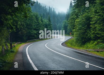 Straße in Nebelwald in regnerischen Tag im Frühjahr Stockfoto