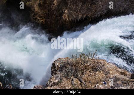 Yellowstone River und Grand Canyon von Lower Falls, Yellowstone National Park, Wyoming, USA Stockfoto