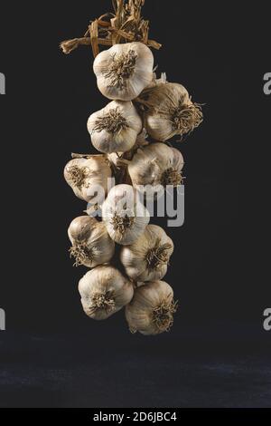 Schnur von Knoblauchzwiebeln isoliert auf einem dunklen Hintergrund. Nahaufnahme. Stockfoto
