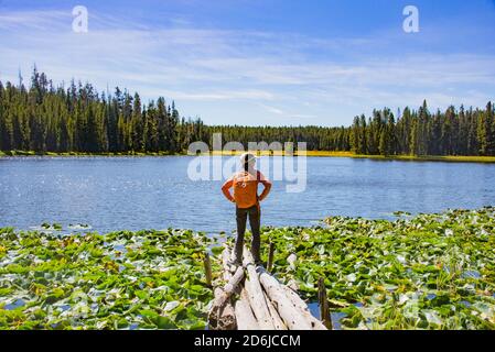 Wunderschöne Landschaften im Yellowstone National Park, Wyoming, USA Stockfoto