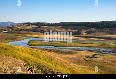 Wunderschöne Landschaften im Yellowstone National Park, Wyoming, USA Stockfoto