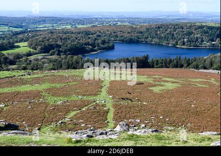 Blick von der Spitze des Sheepstor, Dartmoor National Park, mit offenem Moorland, entfernten Dartmoor Ponys und Burrator Reservoir an einem sonnigen Tag. Stockfoto