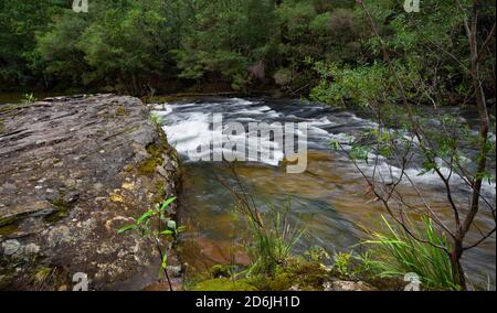 Stromschnellen am Kangaroo River bei Belmore Falls, NSW, Australien Stockfoto