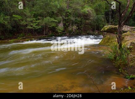 Stromschnellen am Kangaroo River bei Belmore Falls, NSW, Australien Stockfoto