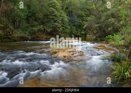 Stromschnellen am Kangaroo River bei Belmore Falls, NSW, Australien Stockfoto