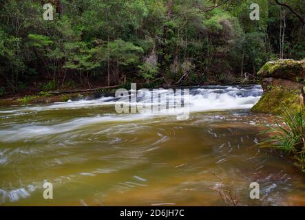 Stromschnellen am Kangaroo River bei Belmore Falls, NSW, Australien Stockfoto