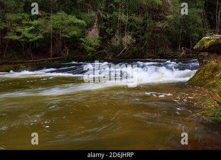 Stromschnellen am Kangaroo River bei Belmore Falls, NSW, Australien Stockfoto