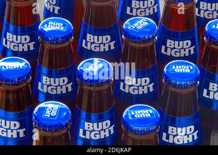 Calgary, Alberta, Kanada. Oktober 16 2020. Mehrere Bud Light Bierflaschen. Stockfoto
