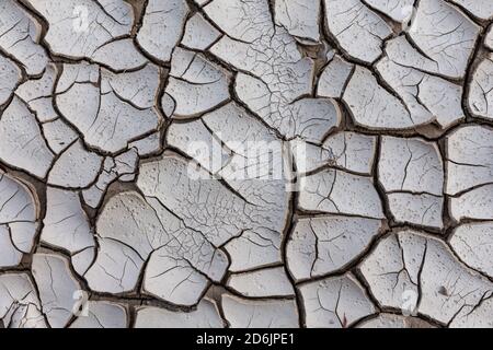 Schlammrisse erscheinen, als ein temporärer Pool austrocknet. Stockfoto