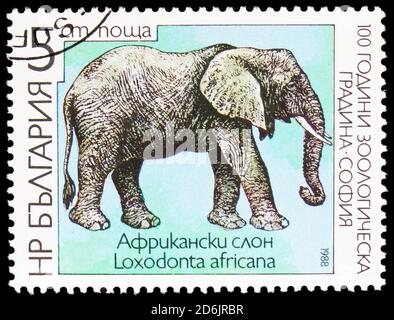 MOSKAU, RUSSLAND - 10. SEPTEMBER 2020: In Bulgarien gedruckte Briefmarke zeigt Afrikanischen Elefanten (Loxodonta africana), Zoologischer Garten der Serie Sofia, Stockfoto